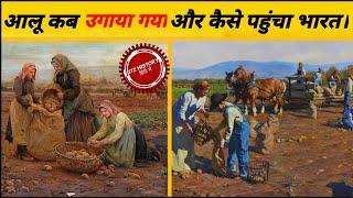 आलू कैसे बना भारतीयों का पसंदीदा खाना |  history of potato in hindi