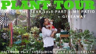 PLANT TOUR: Santa Monica Collection Part 2 | December 2018 | ILOVEJEWELYN