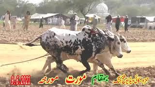 Full Movie (Morat)9.6.2021.Hamza Sky Video Fateh Jang
