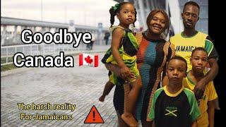 JAMAICANS LEAVING CANADA  | Harsh REALITY of IMMIGRANTS in CANADA 