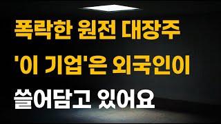 [주식] 폭락한 원전 대장주 '이 기업'은 외국인이 쓸어담고 있어요.[12월주식전망, 두산에너빌리티, 두산중공업, 원전관련주, 대한전선, 원전대장주]