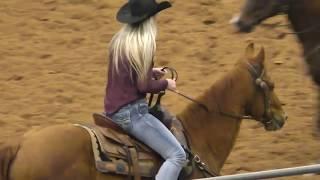 Team Penning - 10HC Set 4 - 2019 USTPA Panhandle Pen & Sort