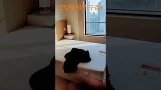 풀옵션 이대역2분 호텔형 원룸2(핀란드타워)