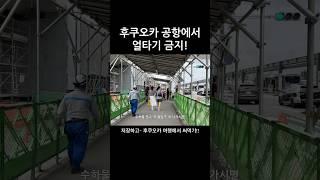 공항에서 얼타지 마세요!‍️ #후쿠오카 #일본여행