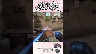 【スプリット】【サイファー】B守りで使える根本隠しワイヤー#valorant #valorantclips #ヴァロラント #vct #イモータル