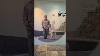 울릉도는 나의천국 #울릉천국 #이장희