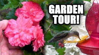 GARDEN TOUR with CTSCAPER  August 2022