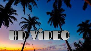 Hd Video | My Hd Video | #viralvideo  #sailipsa