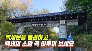 백세길을 함께 걸어요! 지하철역에서 바로 시작하는 트레킹 코스/대중교통 당일치기 여행