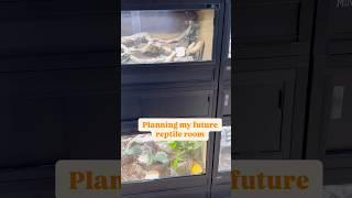 Planning My Future Reptile Room... Thoughts?