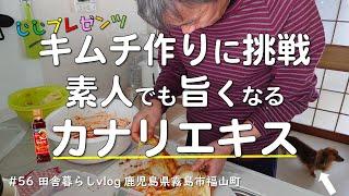 【お料理】キムチ作り挑戦するジジ素人でも旨くなるカナリエキスを使って美味しさ倍増No.56