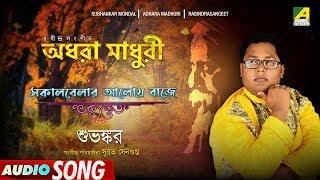 Sakalbelar Aloy Baje | Rabindra Sangeet | Audio Song | Subhankar Mondal