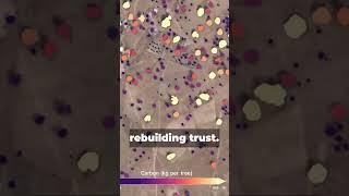 SHORT Can Earth Observation Technology Help to Restore Trust in Carbon Offsetting