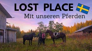 Lost Place mit unseren Pferden  | Vlog |  Follow us around  | Tine loves Nature 