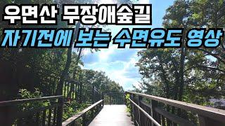 [4K Relaxtion Film] Sleep & Relax with Soothing Nature: Umyeonsan Barrier-Free Forest Path