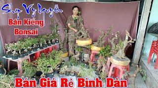 24/11 Vy Nguyễn LH #0782850491 Bán. Ơ Rô. khế Gân. Ổi Tàu. Linh Sam. Hồng Ngọc Mai. Mai Vàng Bonsai