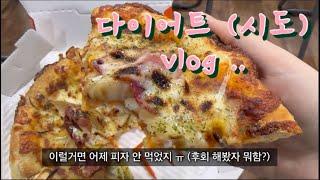 증량은 쉽고 감량은 어려워 | 다이어트 (시도) 먹방 브이로그 | 번아웃 온 슬픔이