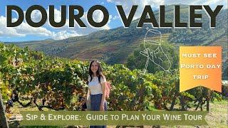 The Best Day Trip from Porto, Portugal!  Discover Douro: Ultimate Wine Trip Guide  For Wine Lovers