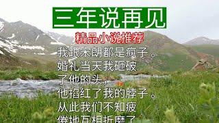 《三年说再见》 精品小说推荐好看的小说 小说推文 完结小说虐文推荐