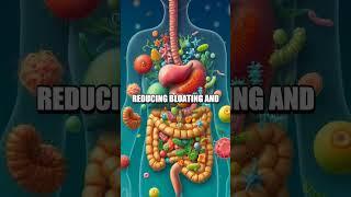 Exploring the Gastrointestinal-Microbiome Relationship: A Digestive Harmony