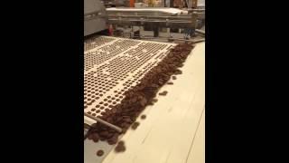 20151126_174004.mp4