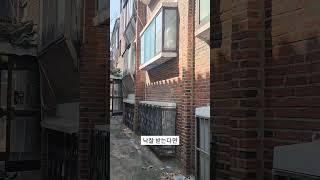 역세권 앞, 30년 이상 된 노후 빌라.. 입찰 들어가야 되나요? #빌라임장#경매