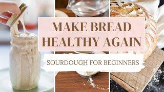 SOURDOUGH 101 // What is Sourdough, How To Make a Sourdough Starter, Storage, & Sourdough Discard