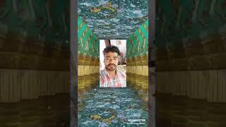 Abed Ali