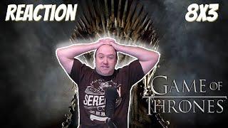 Game of Thrones S8 E3 Reaction "The Long Night"