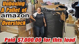 Unboxing A Pallet of Amazon Overstock that we paid Thousands of dollars for and we found cows!!!