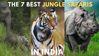 7 Best Wildlife Safari in India | National Park & Wildlife Sanctuary