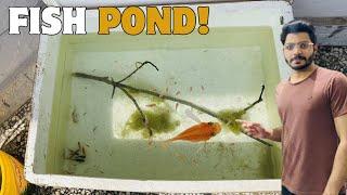 Fish pond clean krdia| Rabbits ly aya  #fishpond #rabbit #pets #animals #aquarium #fishtank