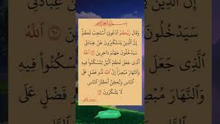 آيات من الذكر الحكيم