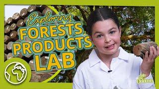 The Forest Products Lab