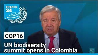 COP16 in Cali: UN biodiversity summit opens with call for 'significant' funding • FRANCE 24