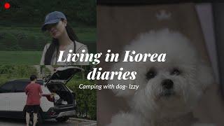 Living in Korea diaries | Camping with Pet | Mid-Autumn in Korea.