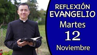 Evangelio de Hoy Martes 12 de Noviembre de 2024  Lectura y Reflexión