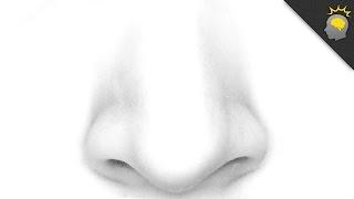What Your Nose Can Tell You - Epic Science #112