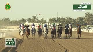 Race 7 -  Tenth  Meeting -  Rahba- 08/01/2022