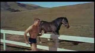 The Swimmer (1968) - Theatrical Trailer