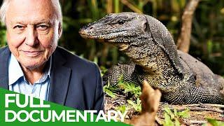 David Attenborough's Wild City | Episode 2: Urban Wild | Free Documentary Nature