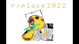 r/place 2022 Bronies