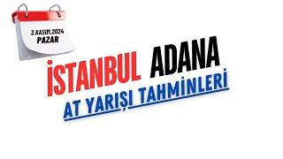 3 Kasım 2024 Pazar İSTANBUL - ADANA At Yarışı Tahminleri