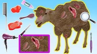 ASMR: Sheep Shaving - Disinfecting Wounds and Bathing Sheep | Animals Care Cartoon