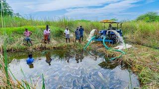 Pond Water Fish Catching and Cooking Fish Gravy in our Village | Country Fishing