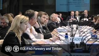 Role and mission of the UNECE/FAO Forestry & Timber section