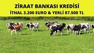 2Yıl Ödemesiz 5 Yıl Geri Ödemeli Ziraat Bankası Kredisi 2024