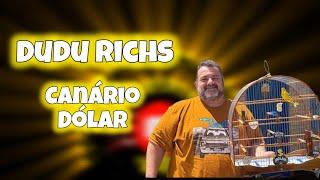 Dudu Richs Canário da Terra Dólar