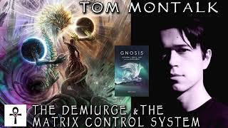 The Demiurge And The Matrix Control System