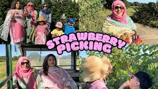 Raspberry and Strawberry Picking | Outdoor fruit picking #reflexion #viralvideo #gardening #summer